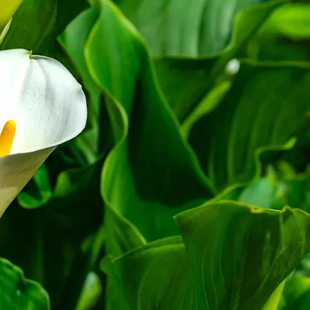 Vitorio Appartamento *